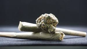 Six-Year-Old Arrested With Cannabis in Mauritius