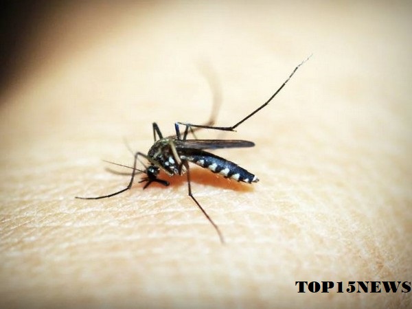 Japanese Encephalitis GMCH 2025