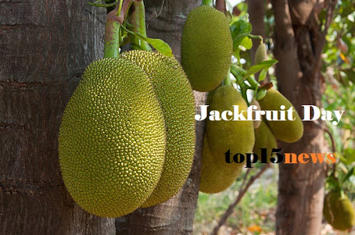  Jackfruit Day